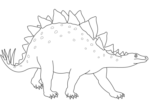 Stegosaurus Dinosaur Coloring Page